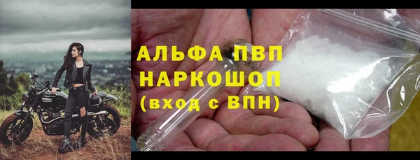 гашик Вязьма