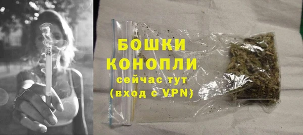 гашик Вязьма