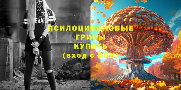 гашик Вязьма