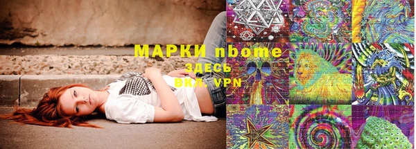 гашик Вязьма