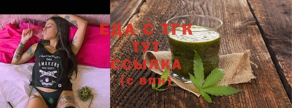 гашик Вязьма