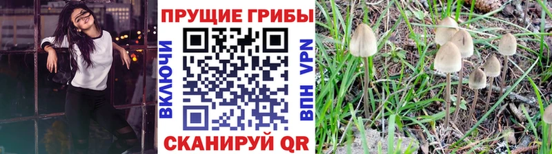 Псилоцибиновые грибы GOLDEN TEACHER Заволжье